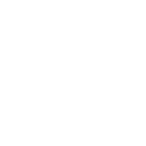 Our Vision